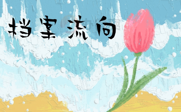 档案流向