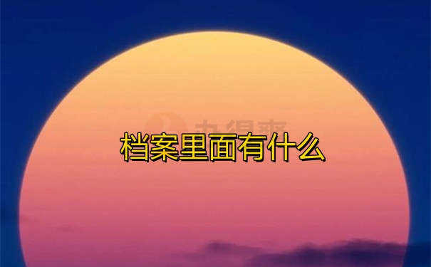 档案里面有什么