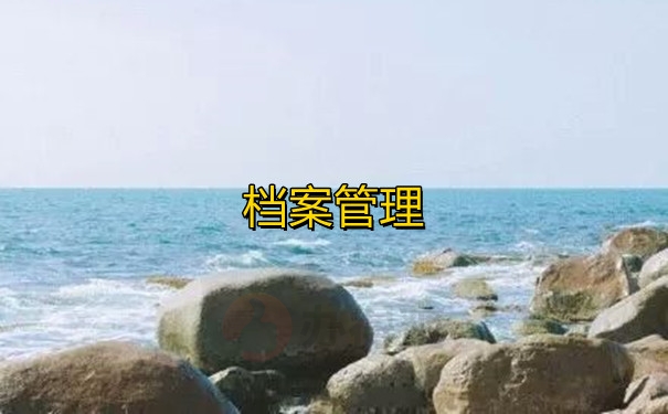 档案管理