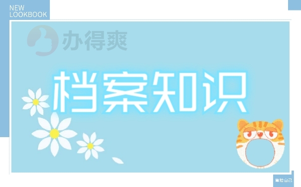 档案