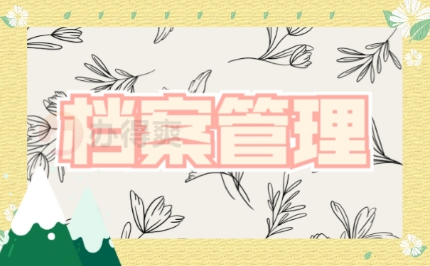 档案