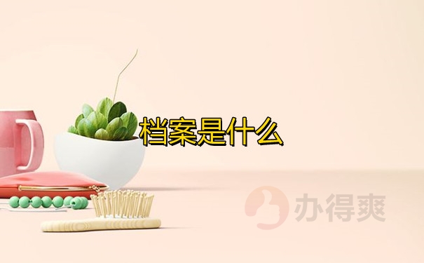 档案是什么