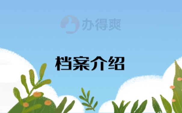 档案介绍