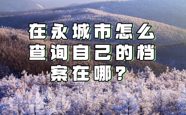 在永城市怎么查询自己的档案在哪？