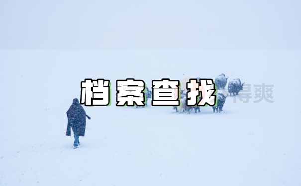 档案查找