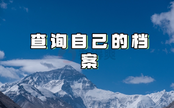 查询自己的档案