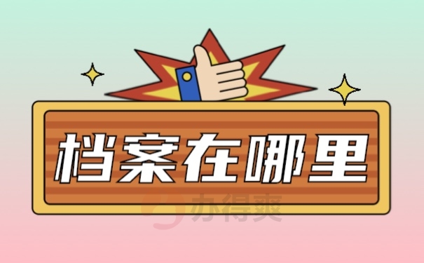 档案查询