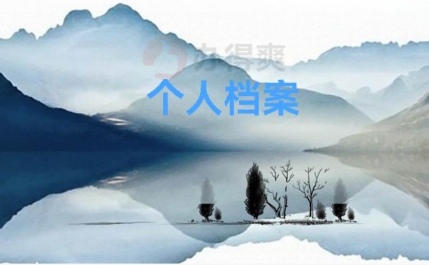 个人档案