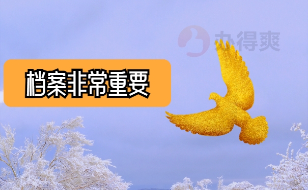 档案非常重要