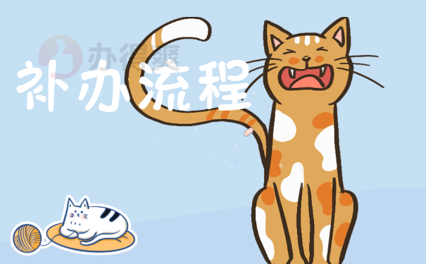 补办流程