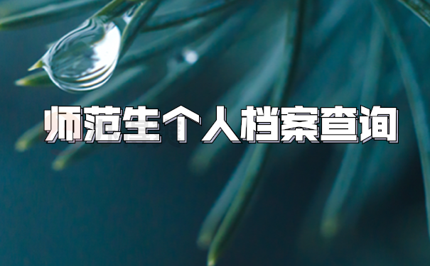 档案查询