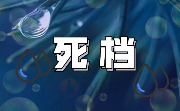 档案查询