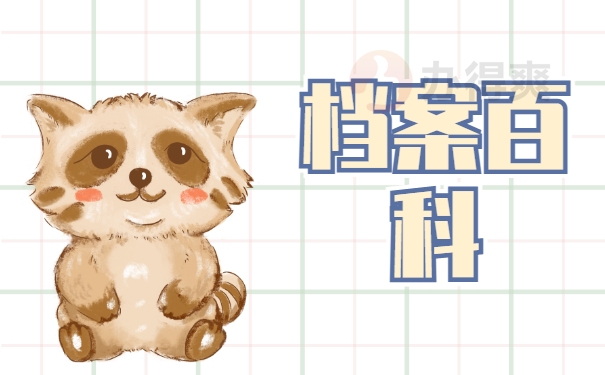 档案