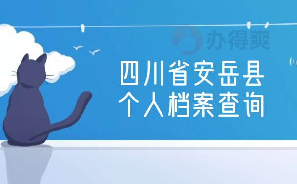 四川省安岳县个人档案查询