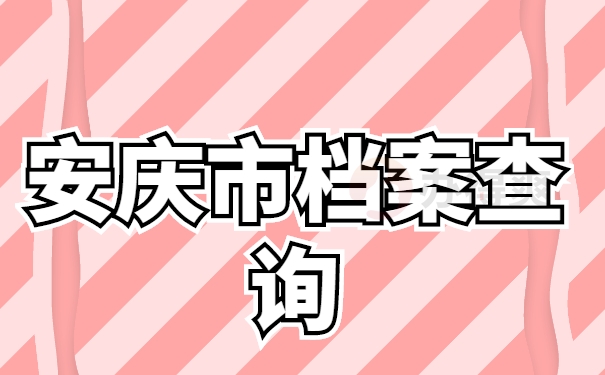 档案查询