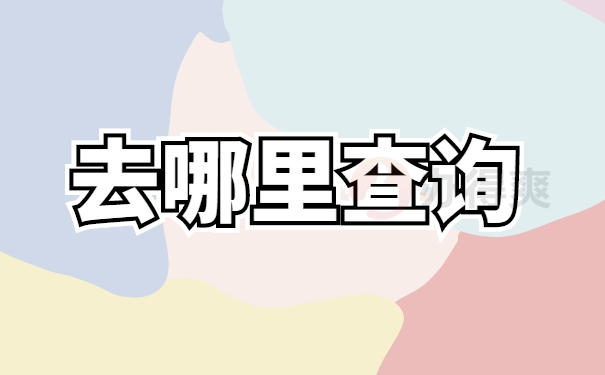 档案查询