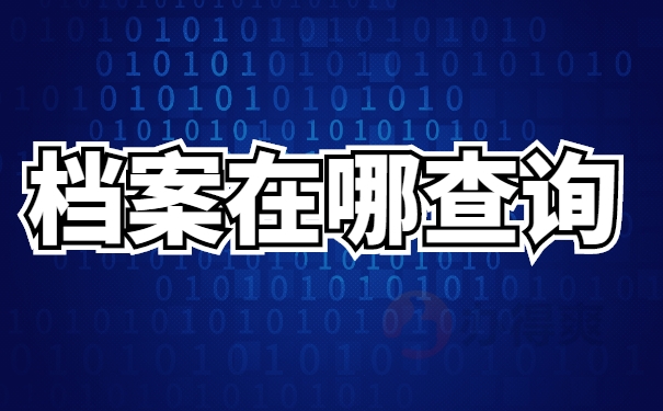 档案查询