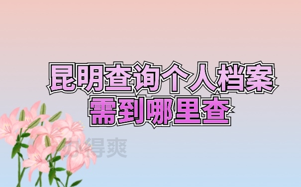 档案查询