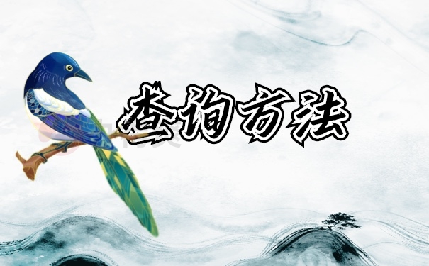 档案查询