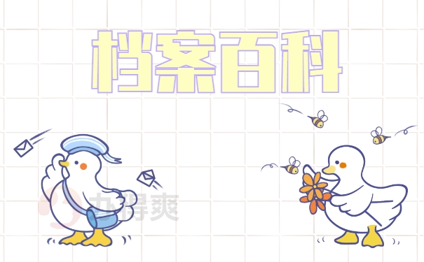 档案百科