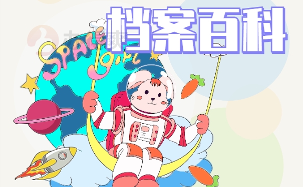档案百科