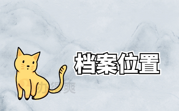 档案位置