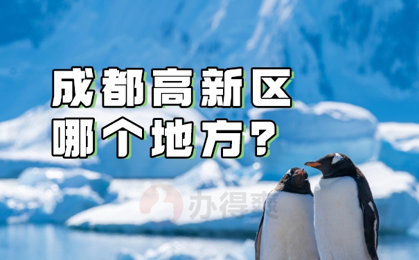成都高新区调档在哪