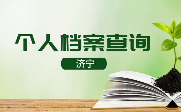 个人档案查询