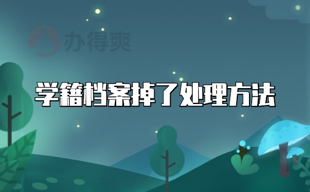 档案袋丢失
