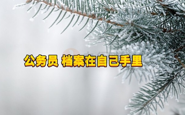 档案在手里