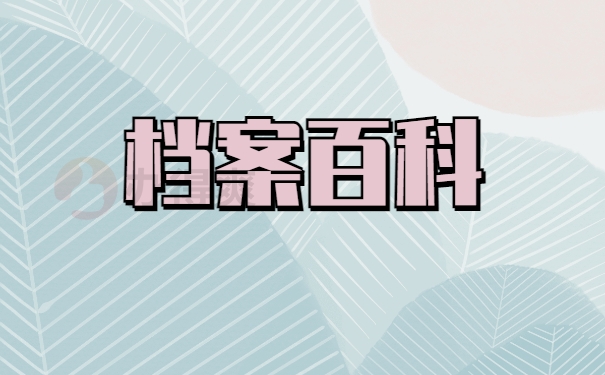 档案百科