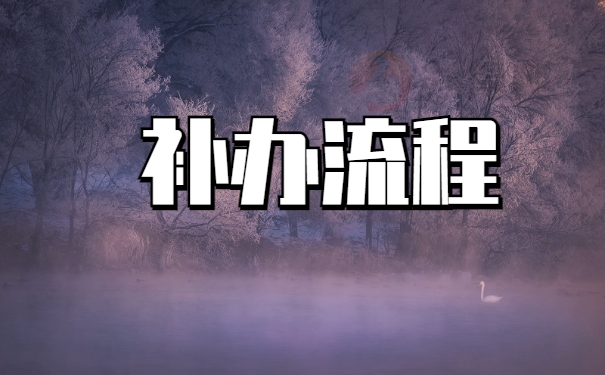 补办流程