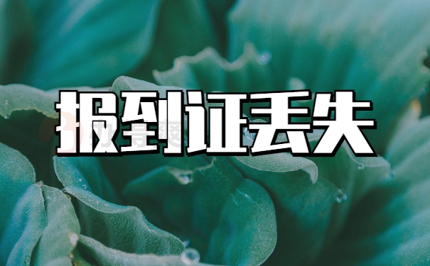 报到证丢了如何补办流程