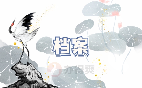 档案