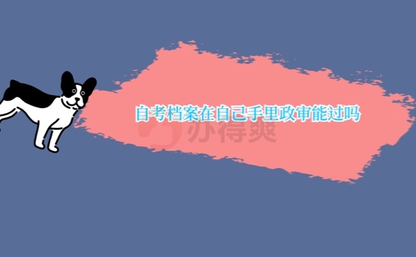 自考档案在手里政审能通过吗