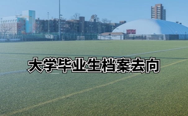 档案去向