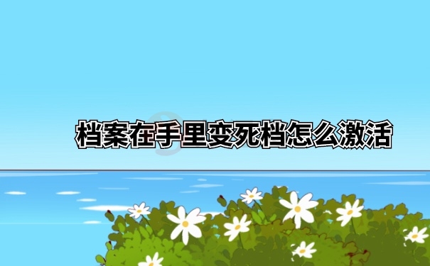 档案激活