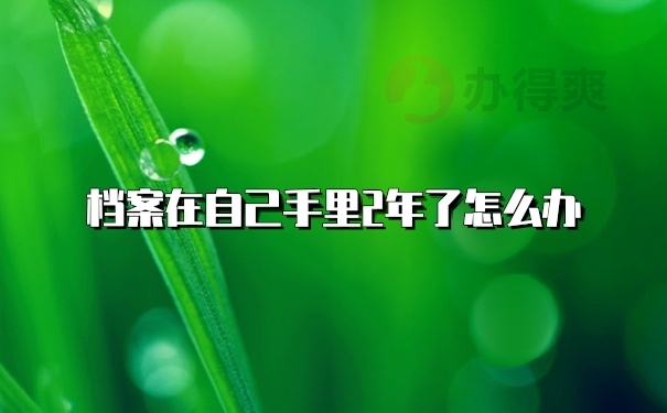 档案在自己手里
