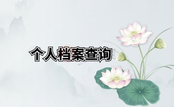 档案查询