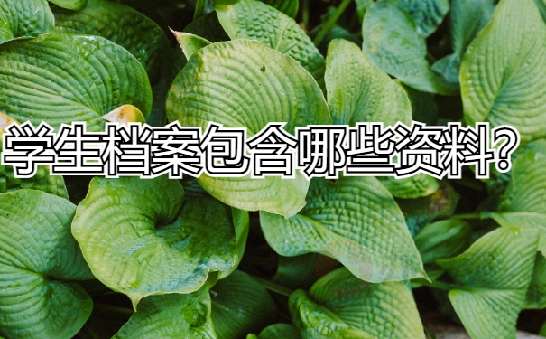学生档案包含哪些材料？