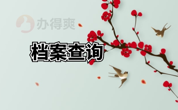 档案查询