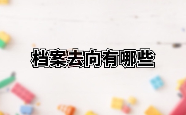 档案去向