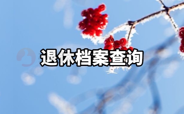 档案查询