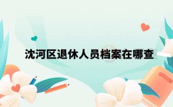 档案查询
