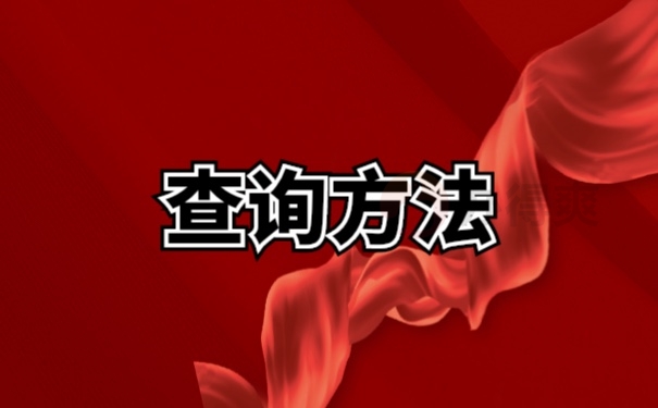 档案查询