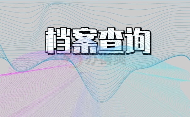 档案查询