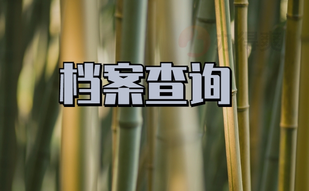 档案查询