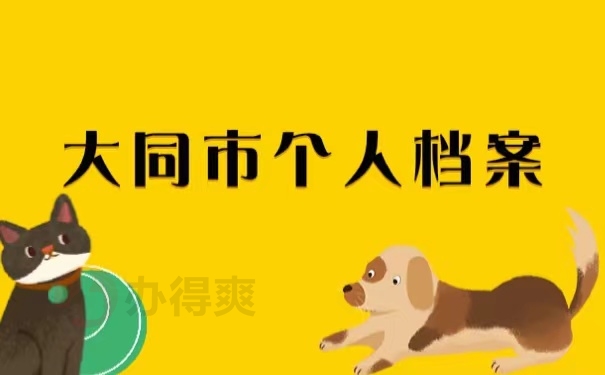 大同市个人档案