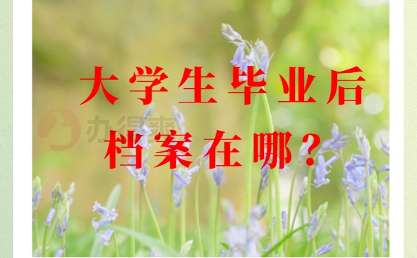 大学生毕业后档案在哪？