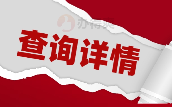查询详情